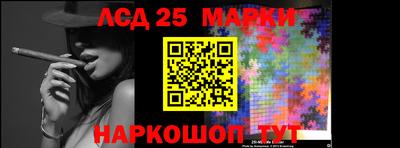 индика Лесосибирск