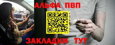 индика Лесосибирск