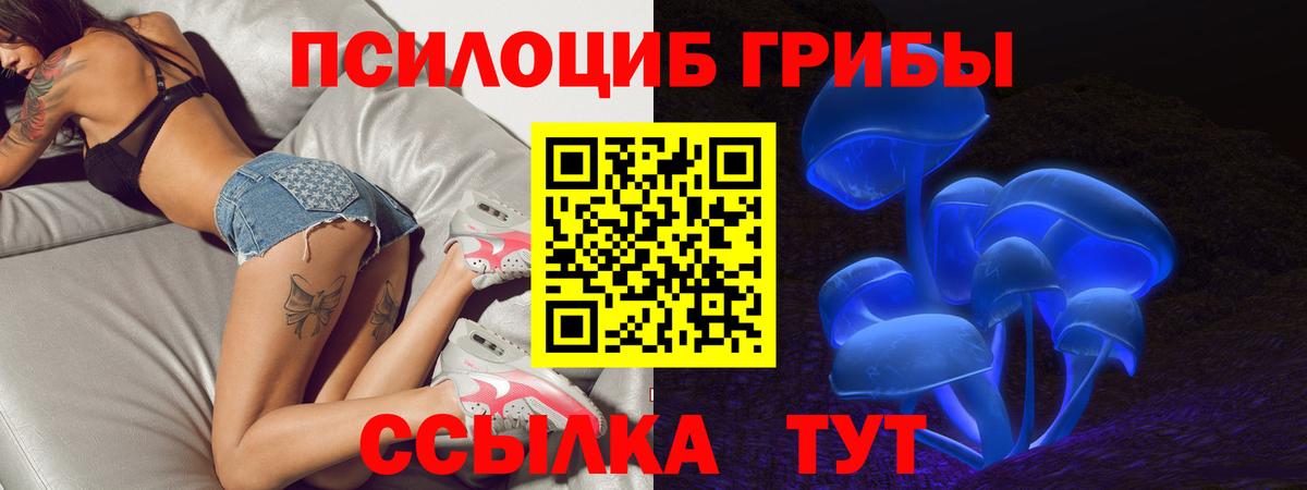 Галлюциногенные грибы MAGIC MUSHROOMS Дивногорск