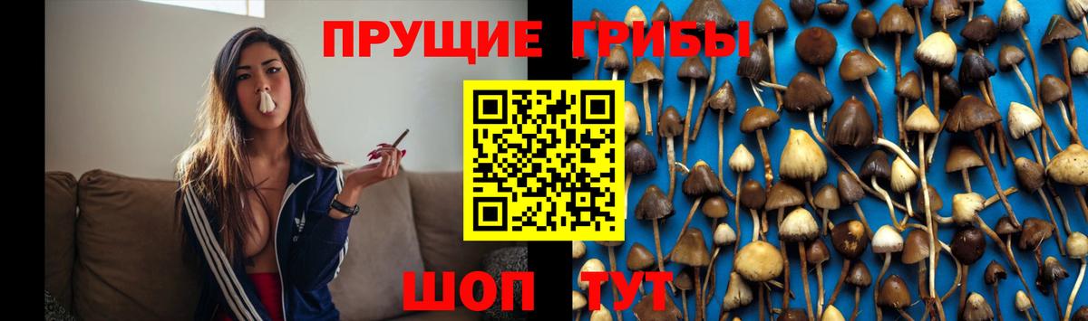 Дивногорск  Галлюциногенные грибы мухоморы  Вход с VPN 