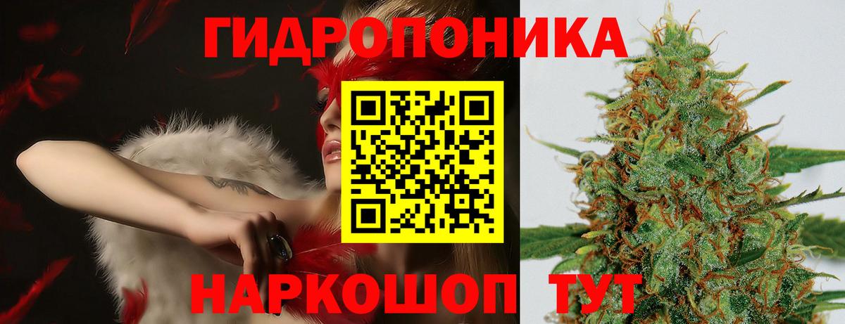 Бошки марихуана MAZAR Дивногорск
